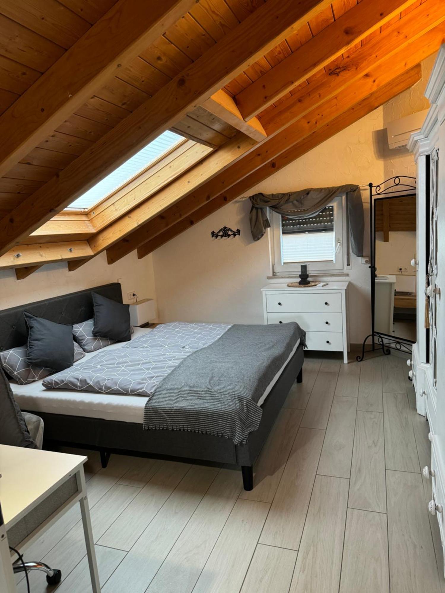 Spacy 3 Bedroom Plus Sleeping Couch Apartment Work&Travel Close To Heidelberg Dielheim Exterior photo