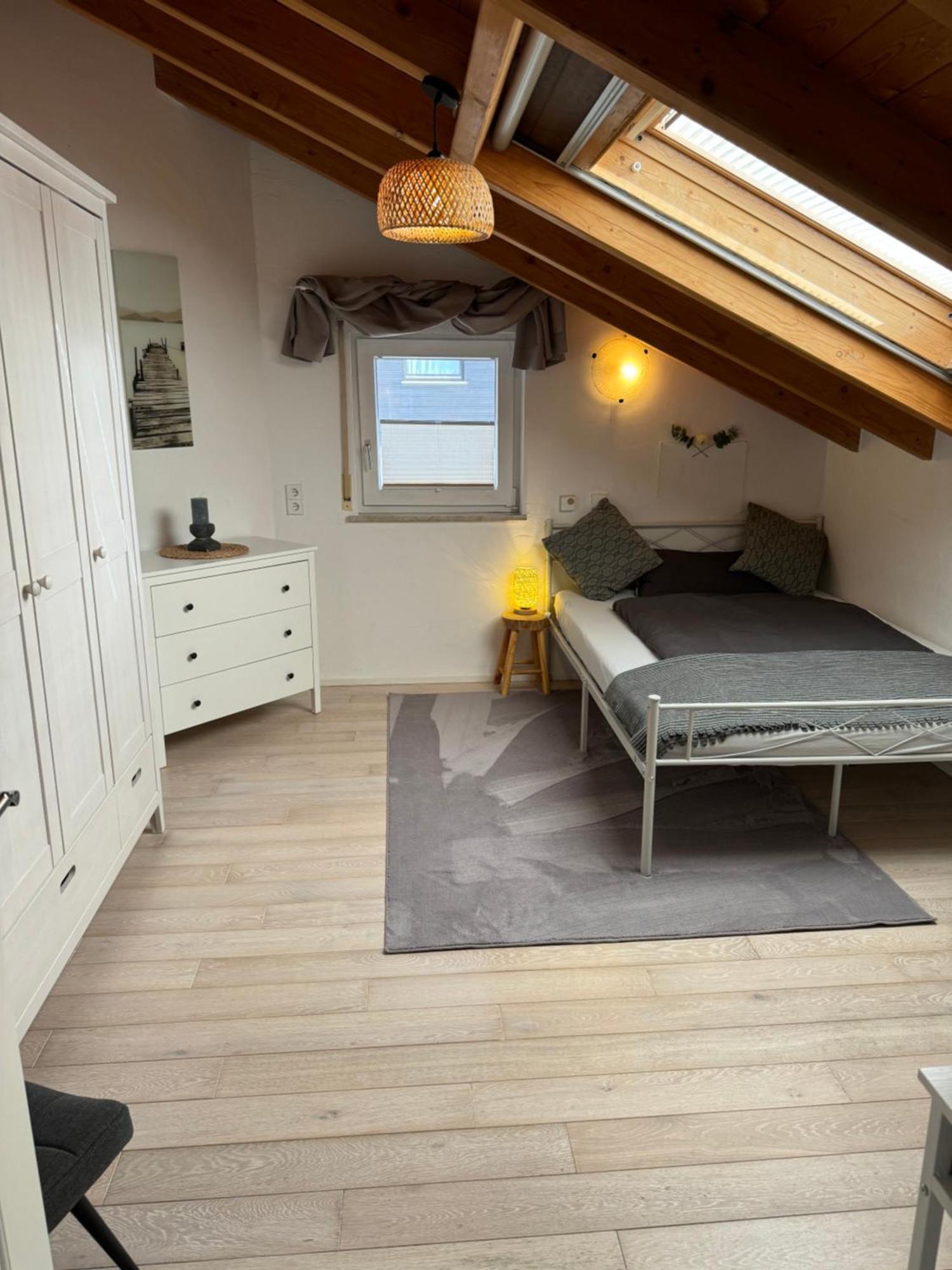 Spacy 3 Bedroom Plus Sleeping Couch Apartment Work&Travel Close To Heidelberg Dielheim Exterior photo